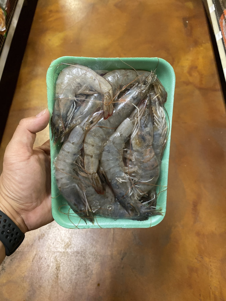 Shrimp - Head-On X-Jumbo, Piazza Seafood, Wholesale Seafood Distributors