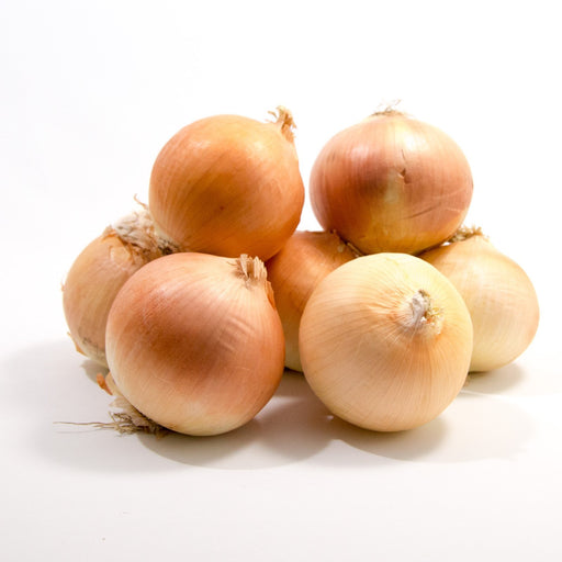 Medium Yellow Onions, 3lb - Eastside Asian Market