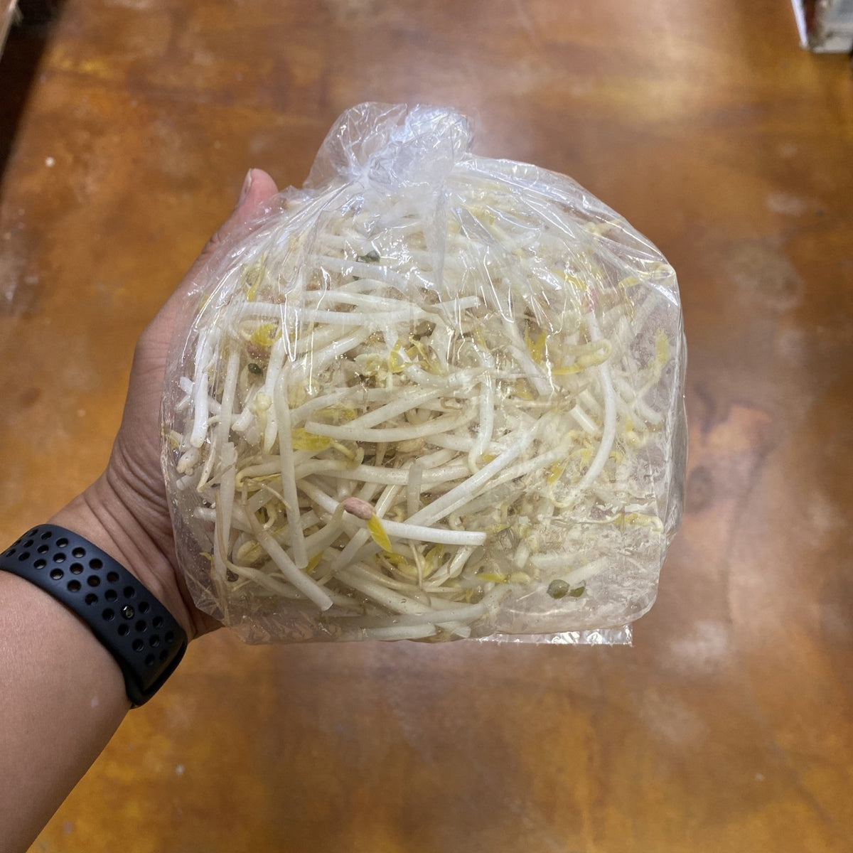 Organic Mung Bean Sprouts at Whole Foods Market